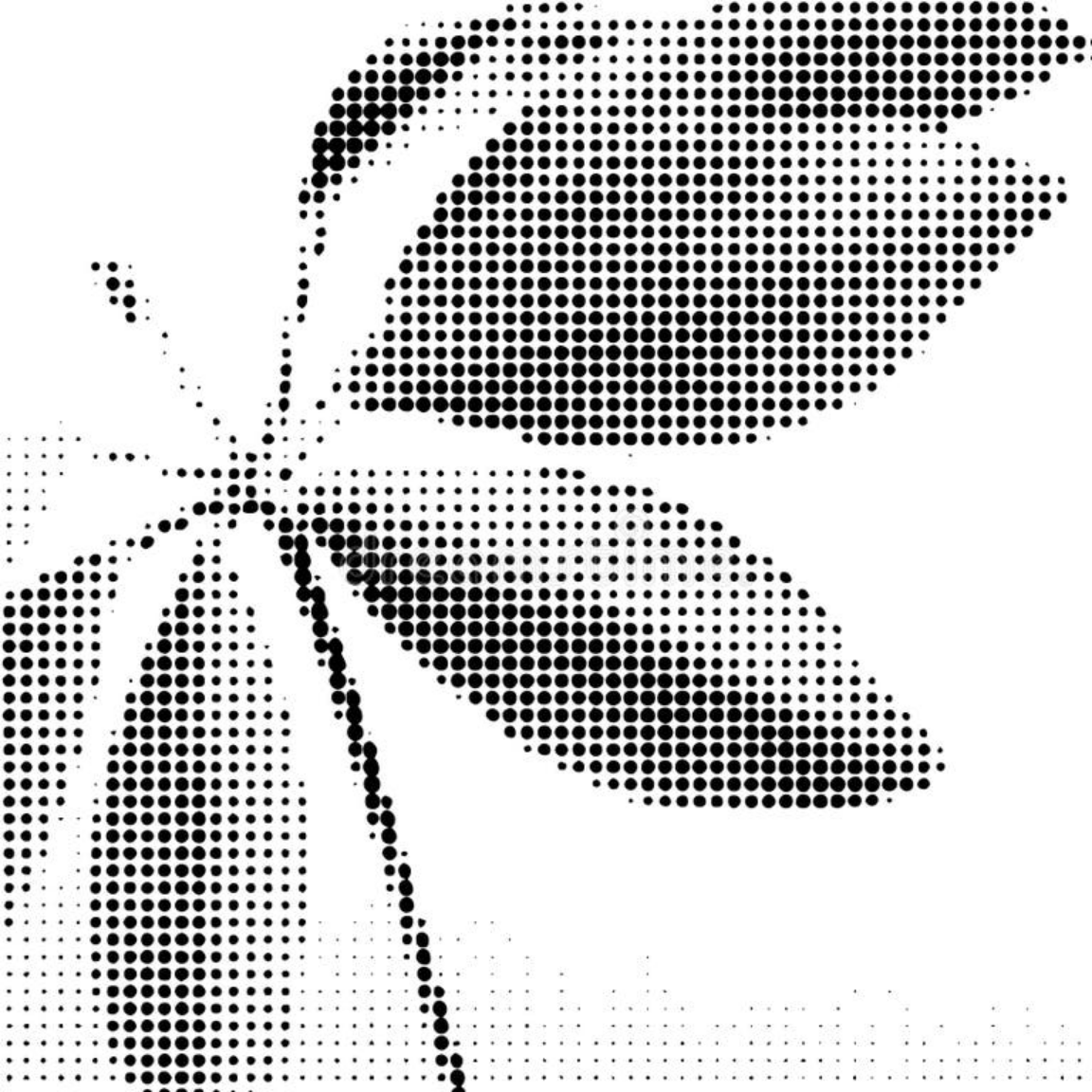 OR  Nutrition + Coaching